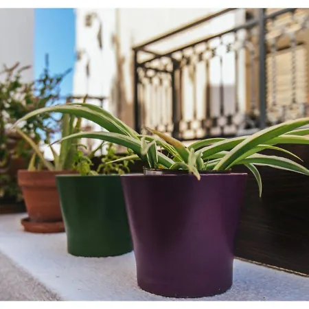 Arco Naxos Luxury Apartahotel Naxos City