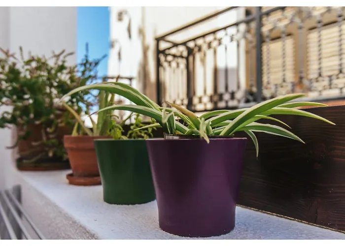 Arco Naxos Luxury Aparthotel Naxos City