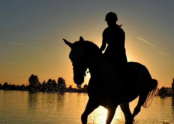 Arco Naxos Luxury Aparthotel Naxos City