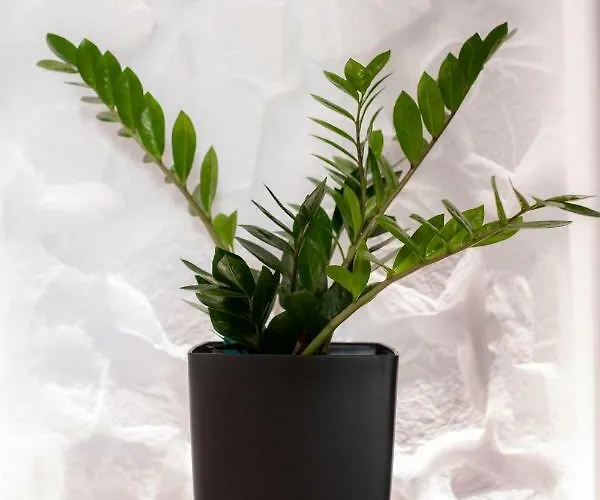 Aparthotel Arco Naxos Luxury 4*