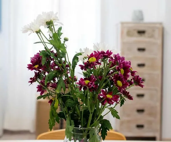 Aparthotel Arco Naxos Luxury 4*